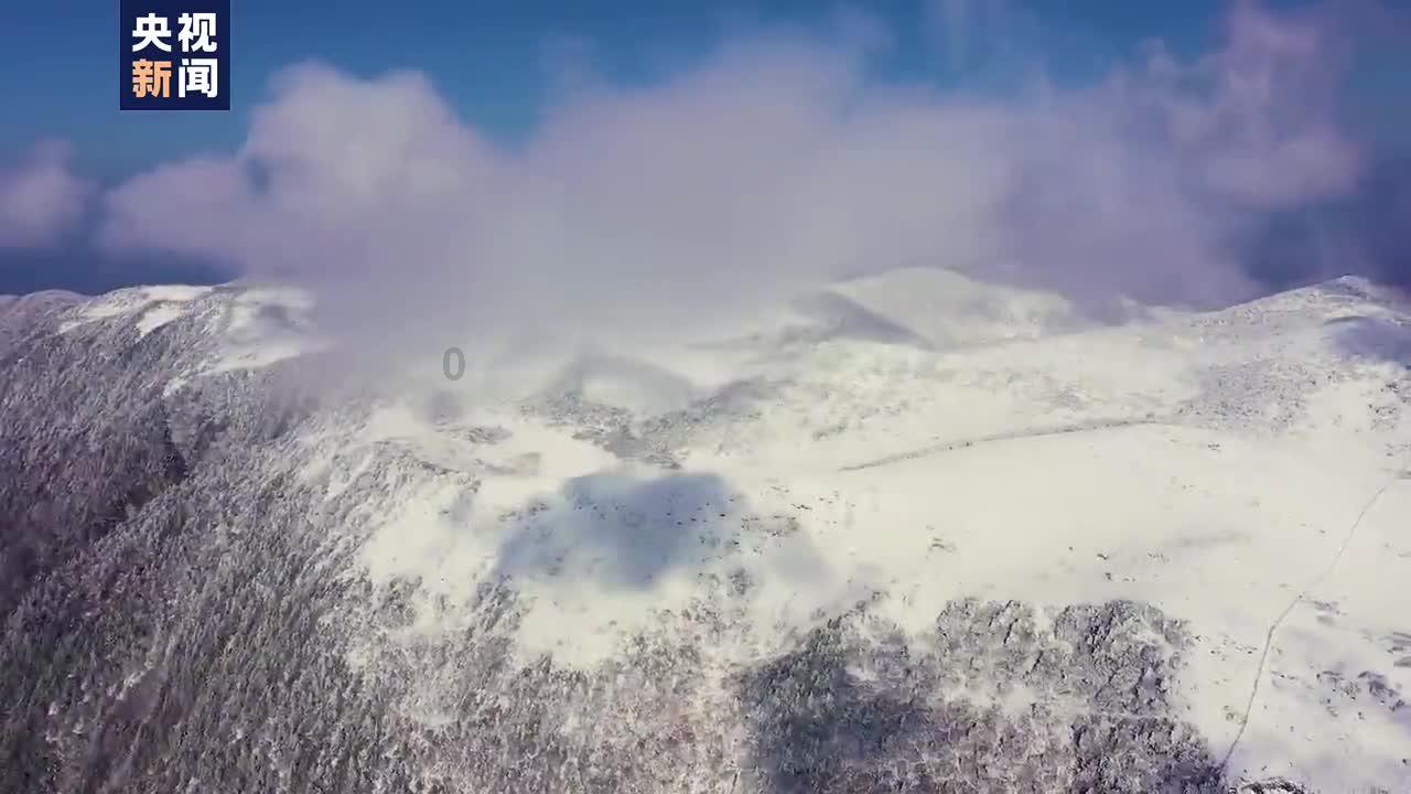祝贺!10余名陆航新飞行员成功首飞