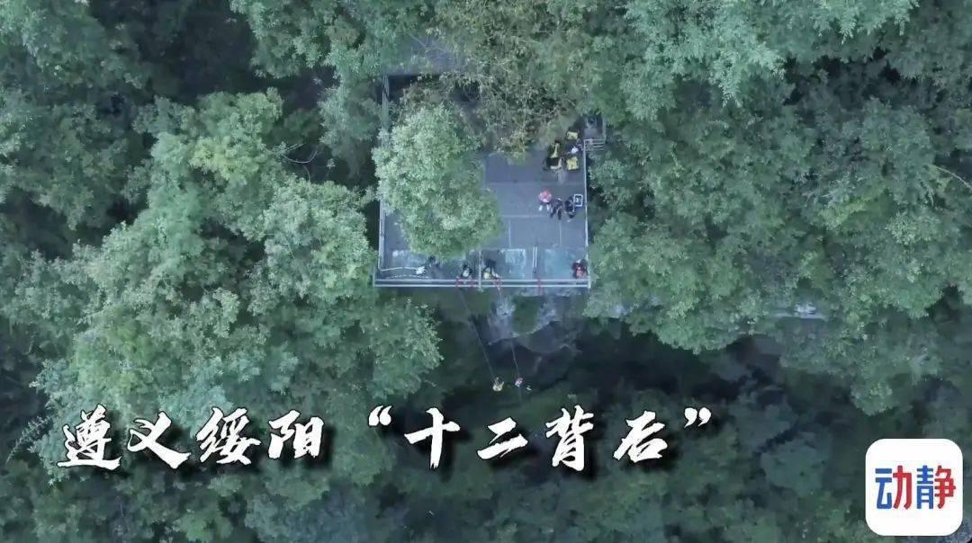 五花肉和它才是绝配，冬天吃最好，增加抵抗力，多给孩子做着吃