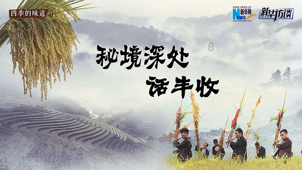 埃及坟墓的秘密