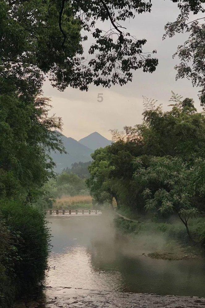 除甲醛这个行业好吗？游戏画面