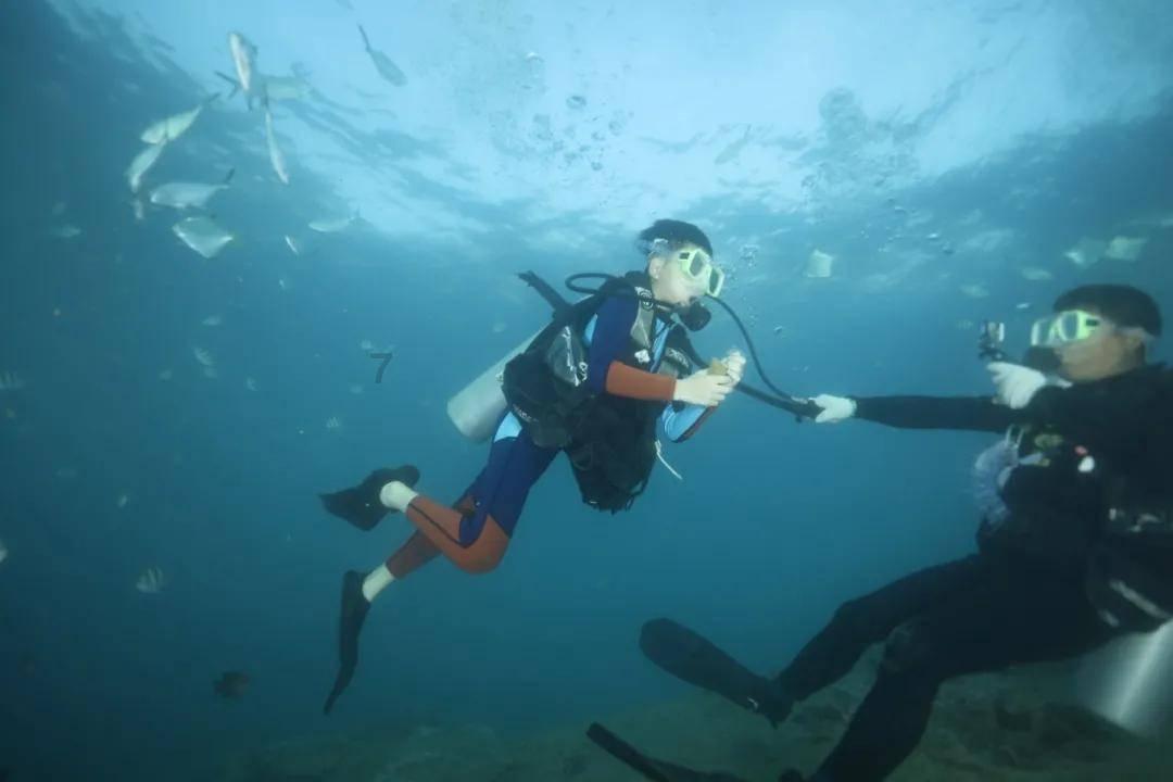 照顾小兔宝宝
