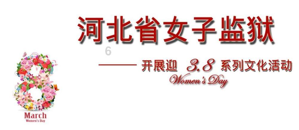小猫钓鱼正版下载中文版