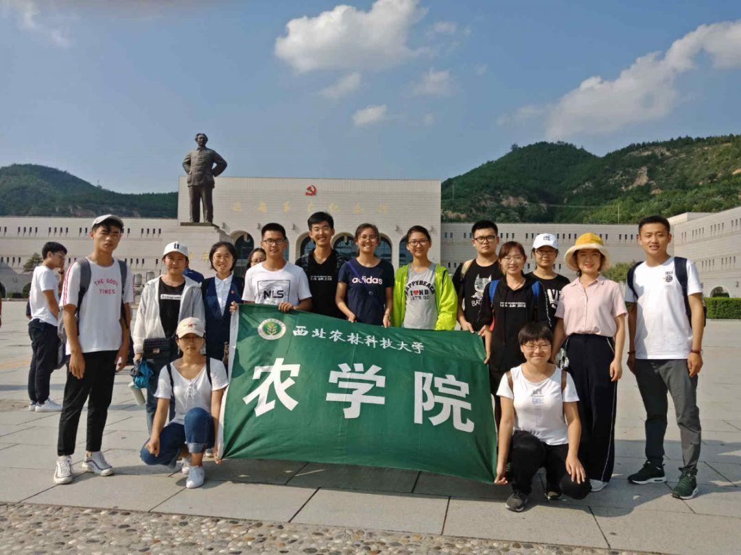 乒乓球总决赛：四强席位已全部产生！夺冠大热被淘汰，张本又哭了