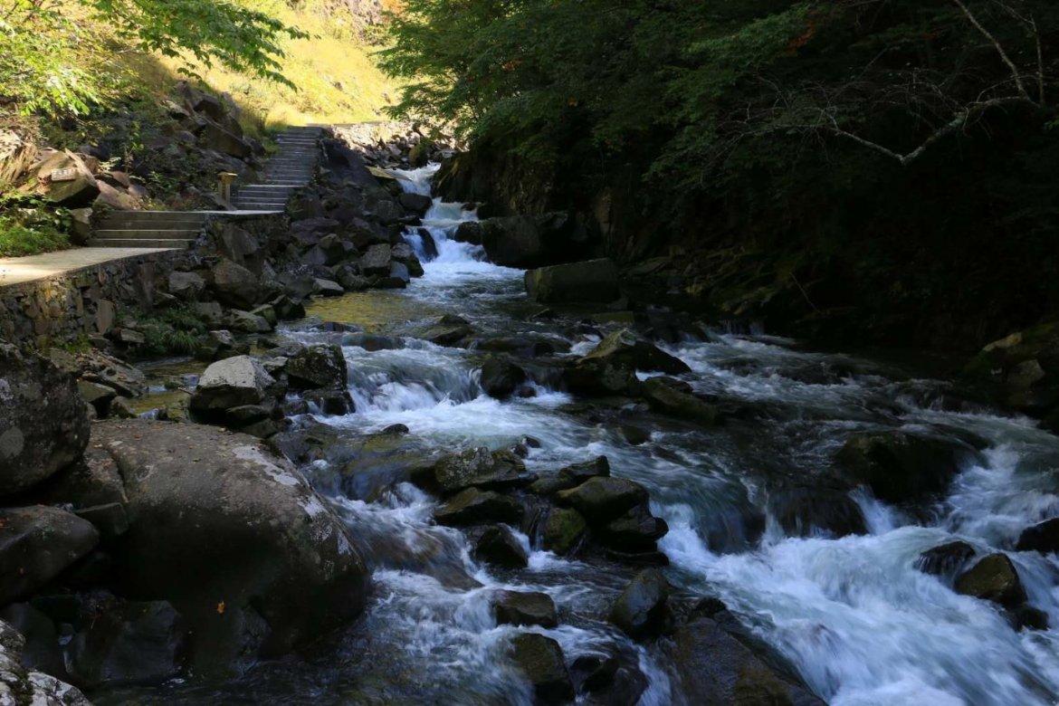 省人大代表周刚:立足山东现代农业强县,建设全国马铃薯交易中心