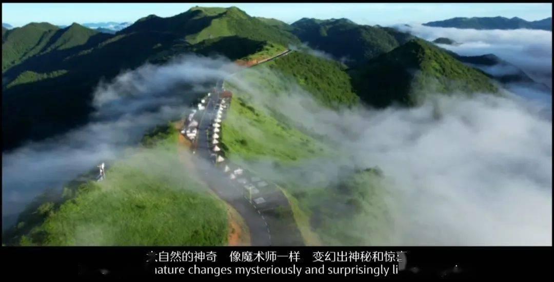 卡通考拉救援