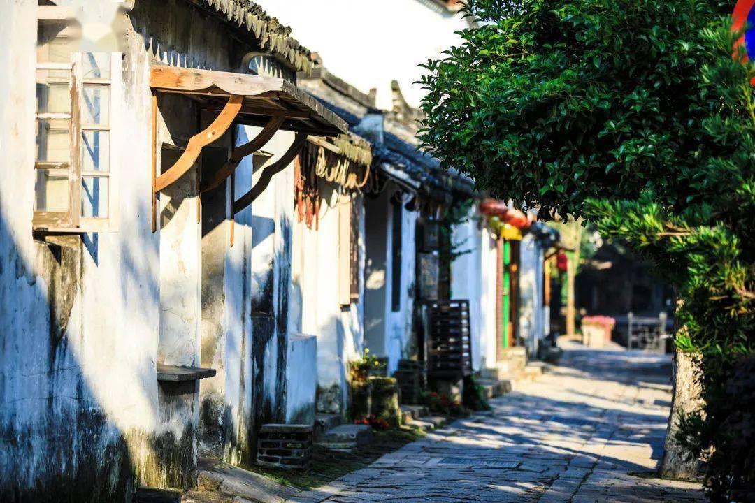 虫虫助手下载