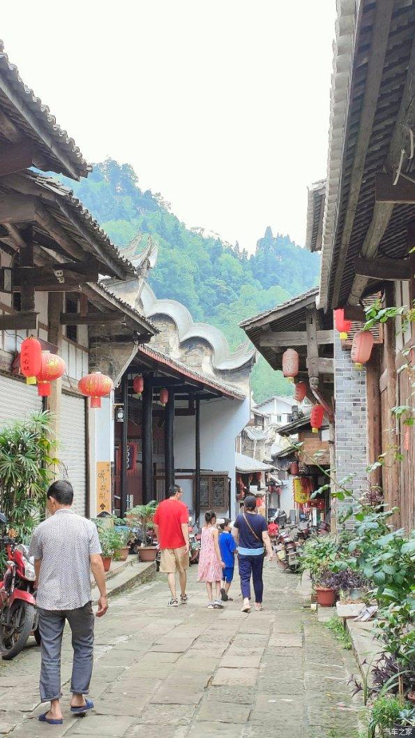 沈阳市野生动物保护协会,第九届换届选举大会,成功召开!