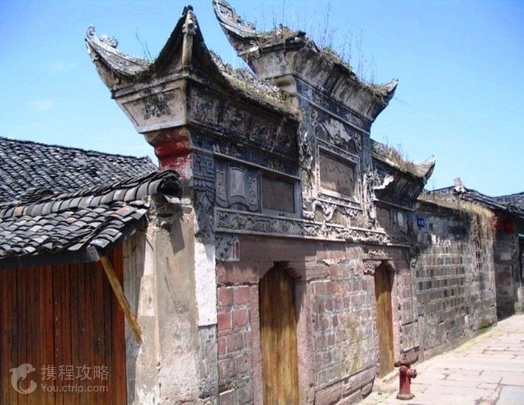 社区热议,解读全新伟嘉猫粮怎么样平台