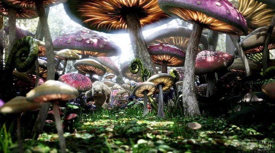 美味食物找星星